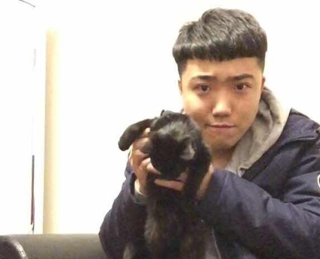刈扬