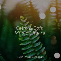 Calm & Soft Music Chakra