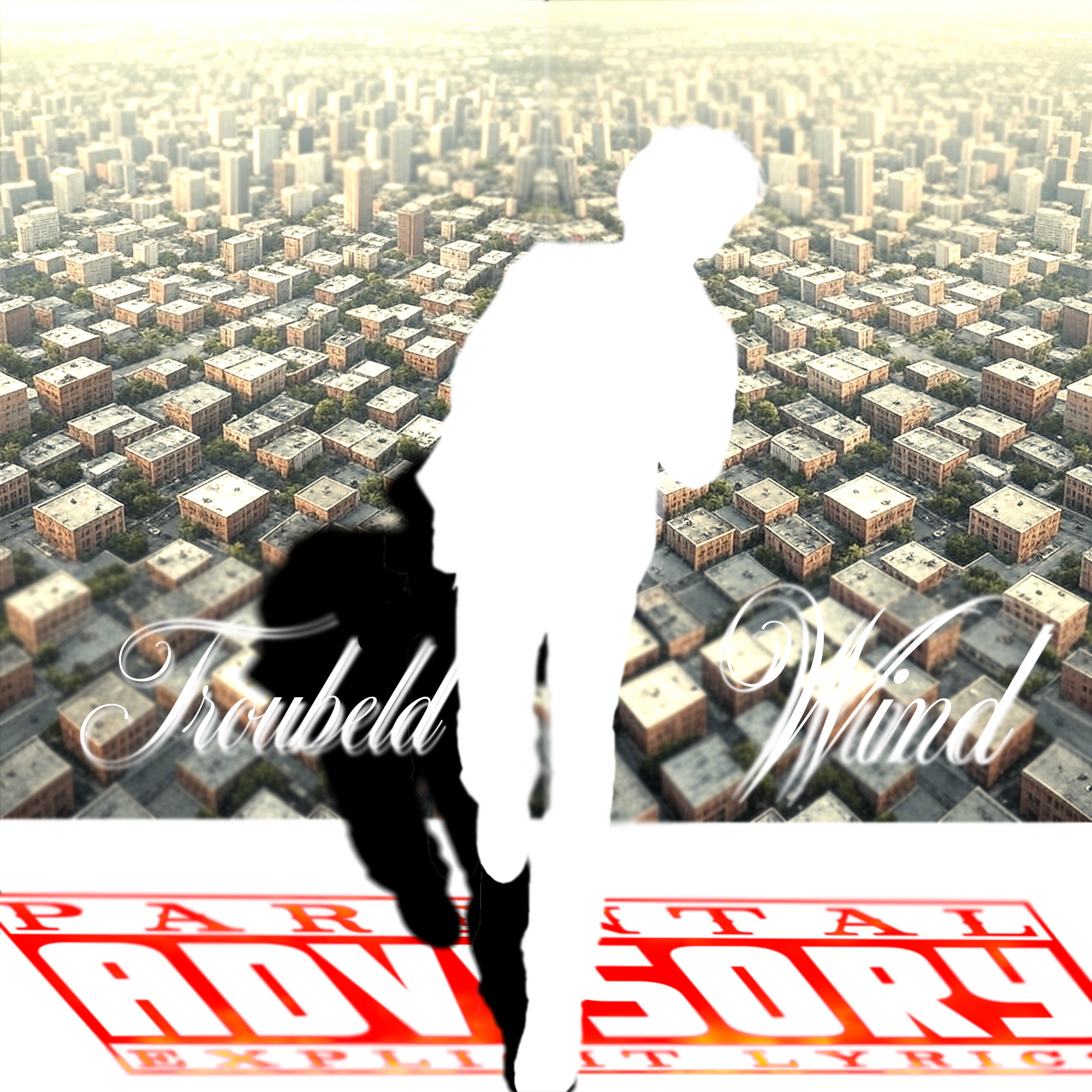 我只是想要个结果 feat.心脏士兵【Prod.Keerad】