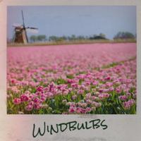 Windbulbs