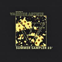 Summer Sampler 23'