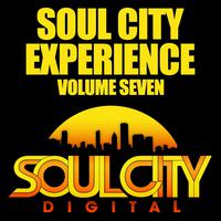 Soul City Experience, Vol. 7