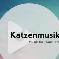 Katzenmusik