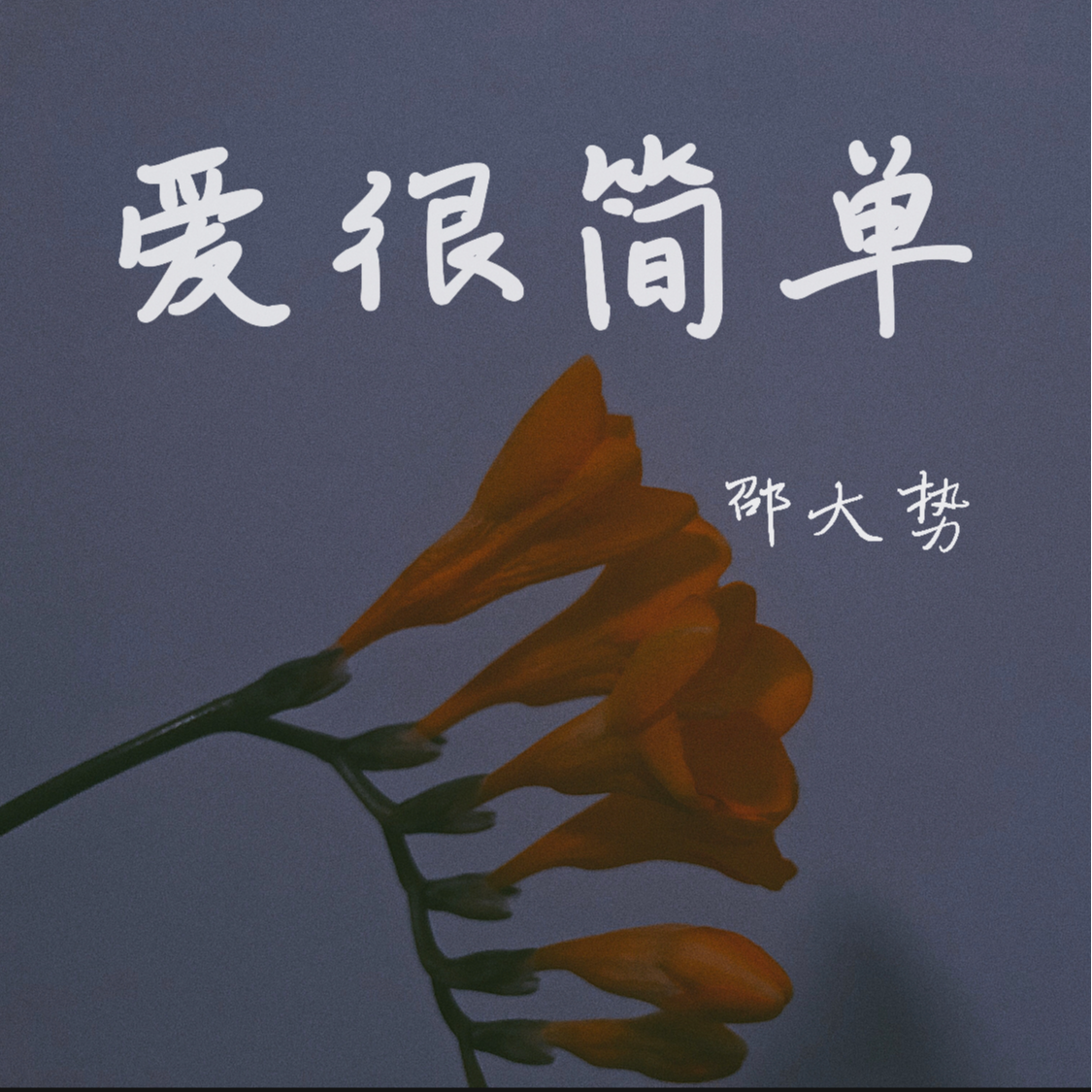 小太阳 (伴奏)封面