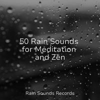 50 Rain Sounds for Meditation and Zen