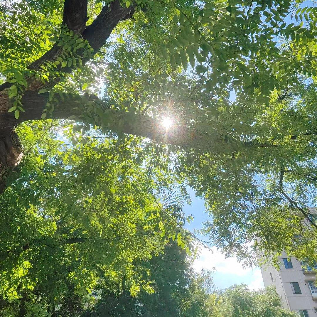 英文｜动感｜节奏感｜欧美音乐