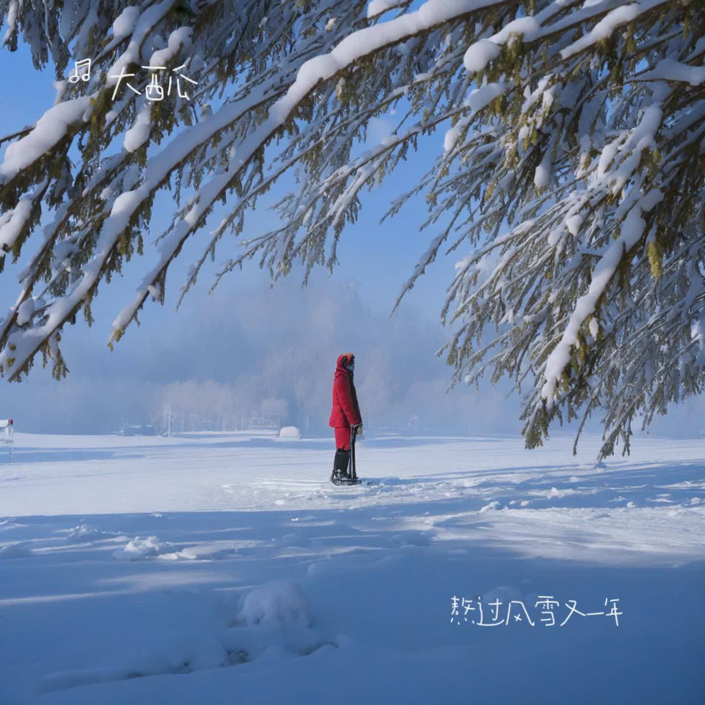 爱意藏风里封面