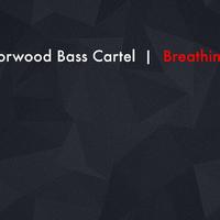 Norwood Bass Cartel