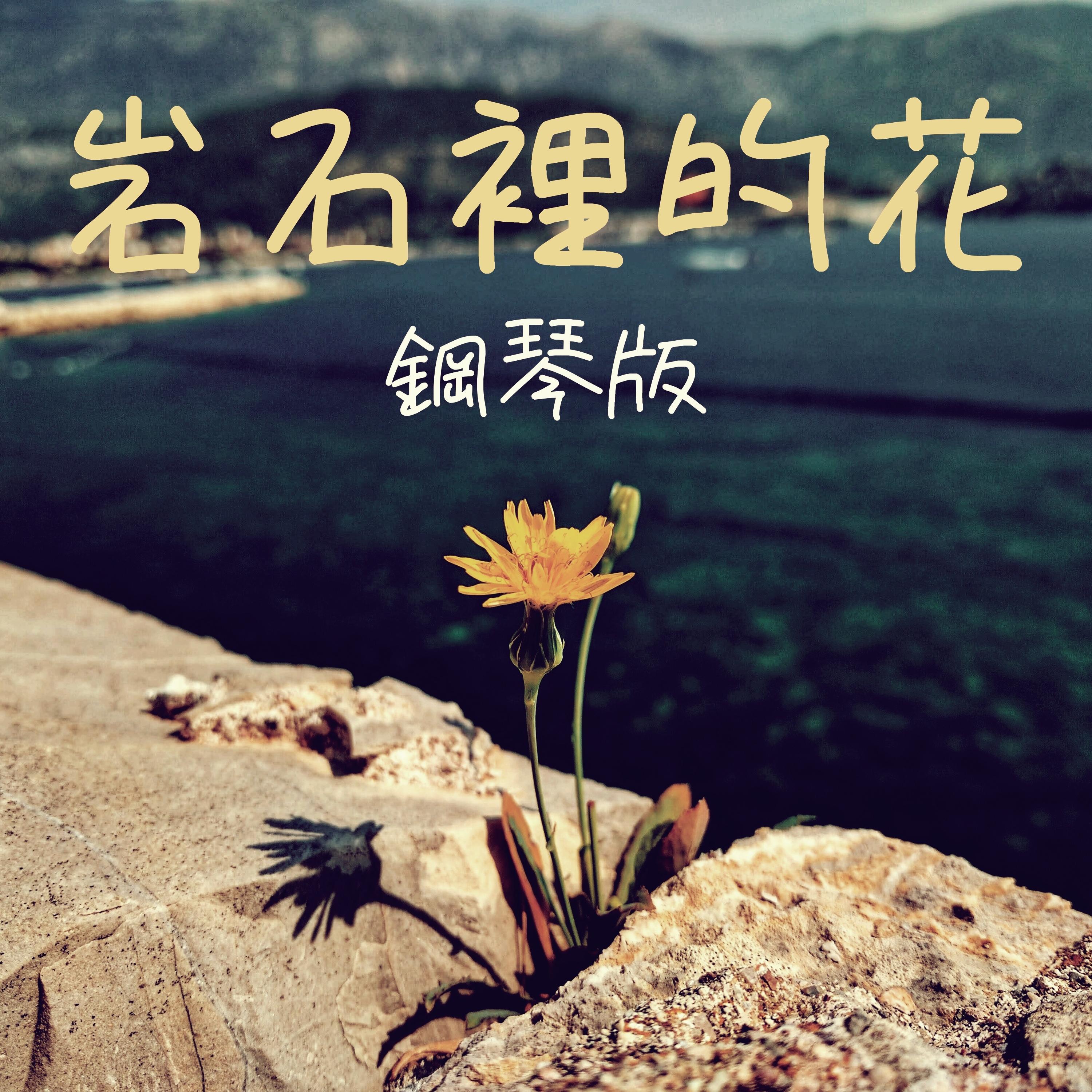 岩石裡的花 (鋼琴版)封面