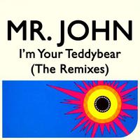 I'm Your Teddy Bear (The Remixes)