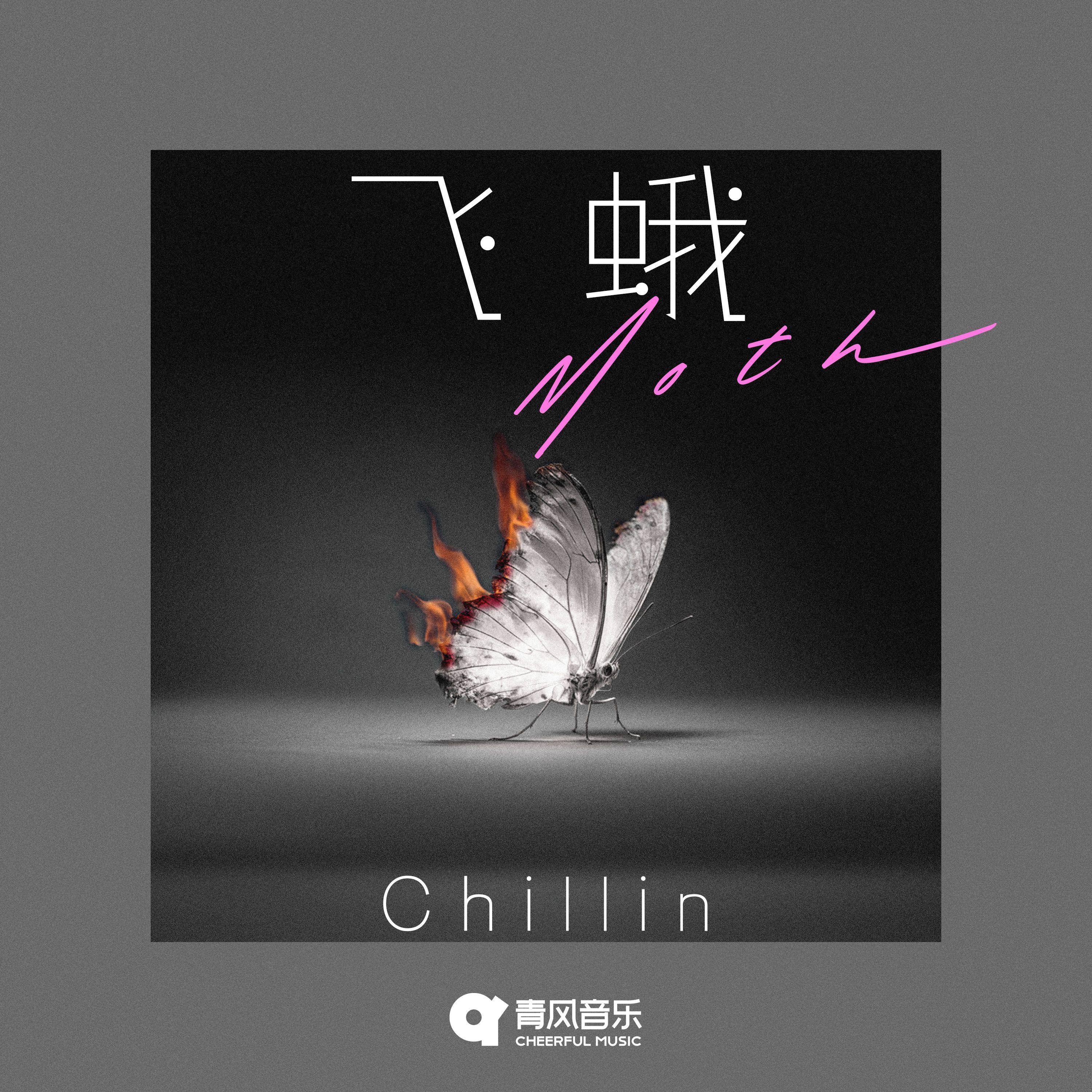 飞蛾封面