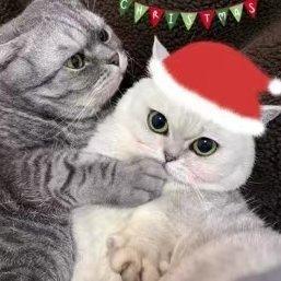 深夜难逃网易云K-