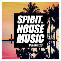 Spirit of House Music, Vol. 23