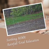 Soothing ASMR Rainfall Total Relaxation - 2 Hours