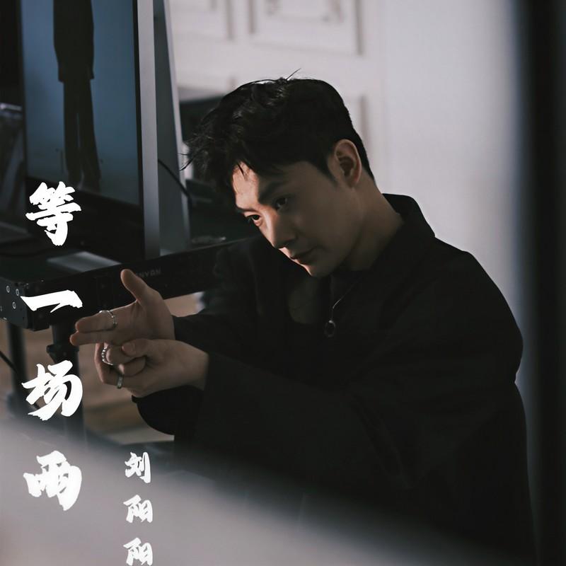 等一场雨封面