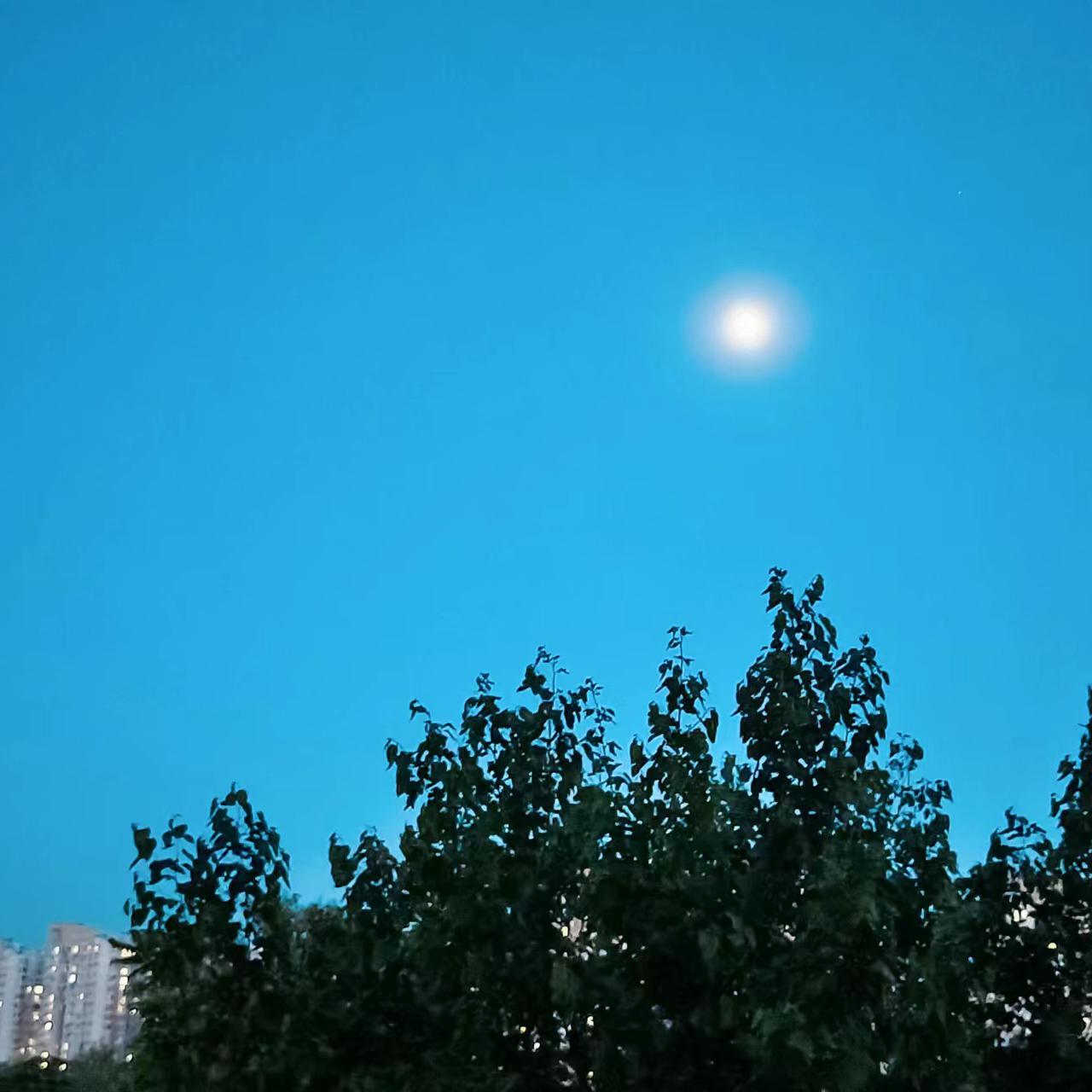 钻石边cover - YangStar封面