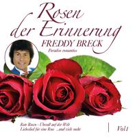 Rosen der Erinnerung, Vol. 1