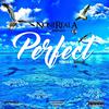 NoneRealA - Perfect