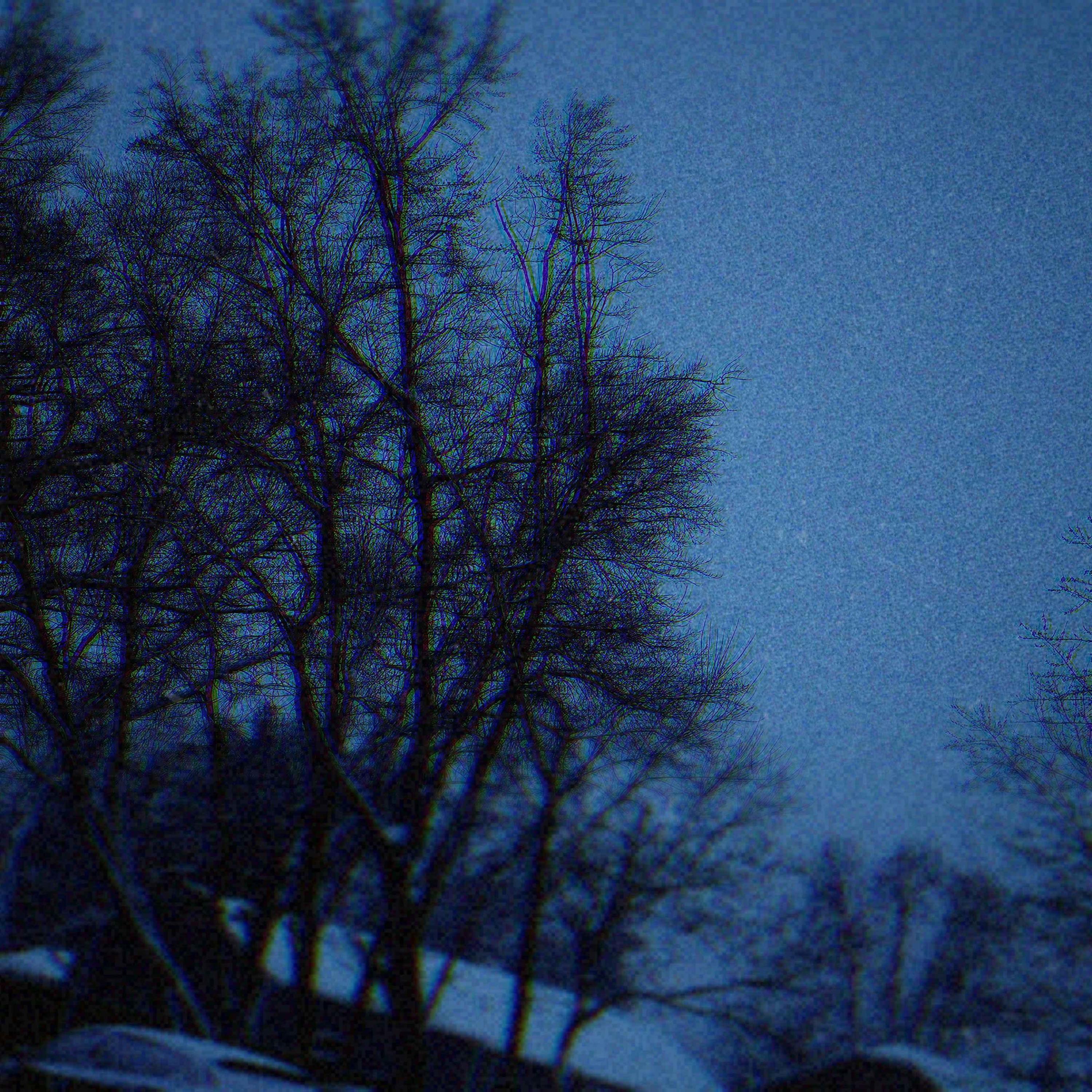 Why Did I Trust You?