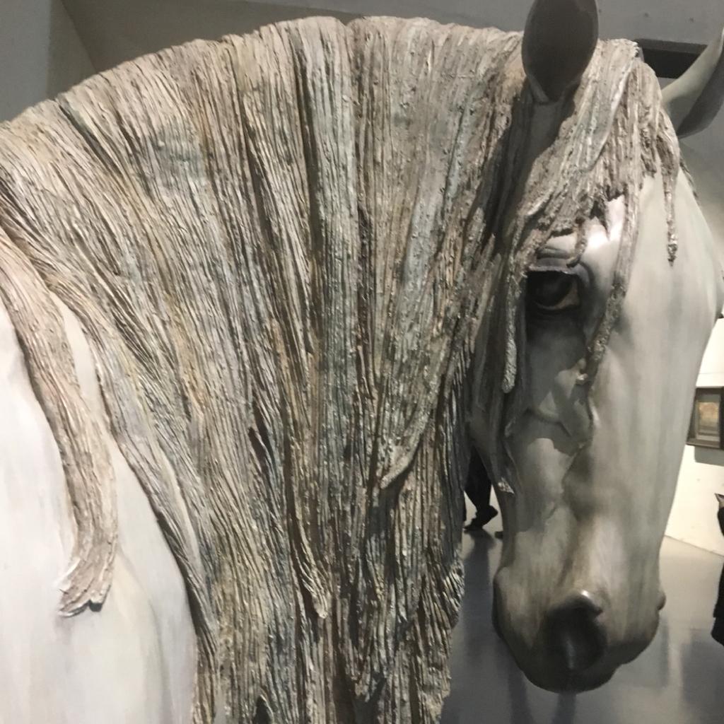 卡拉是条狗kakalala