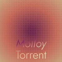 Molloy Torrent