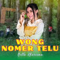 Wong Nomer Telu