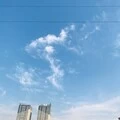 遇见 (DJ版)封面