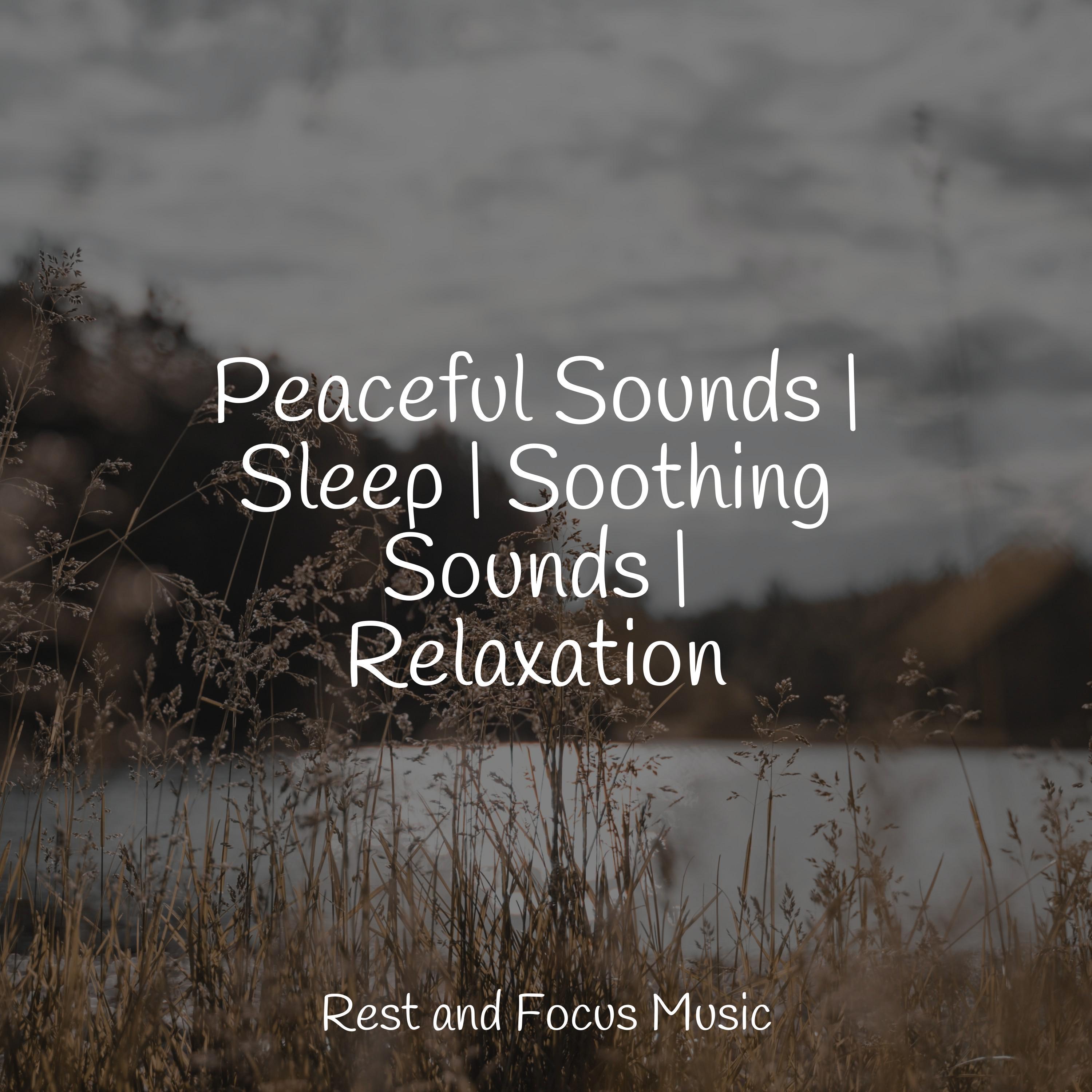Peaceful Sounds Sleep Soothing Sounds Relaxation Study Zone