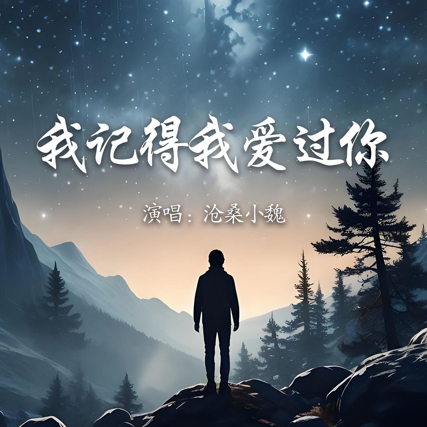 我记得我爱过你 - 沧桑小魏封面