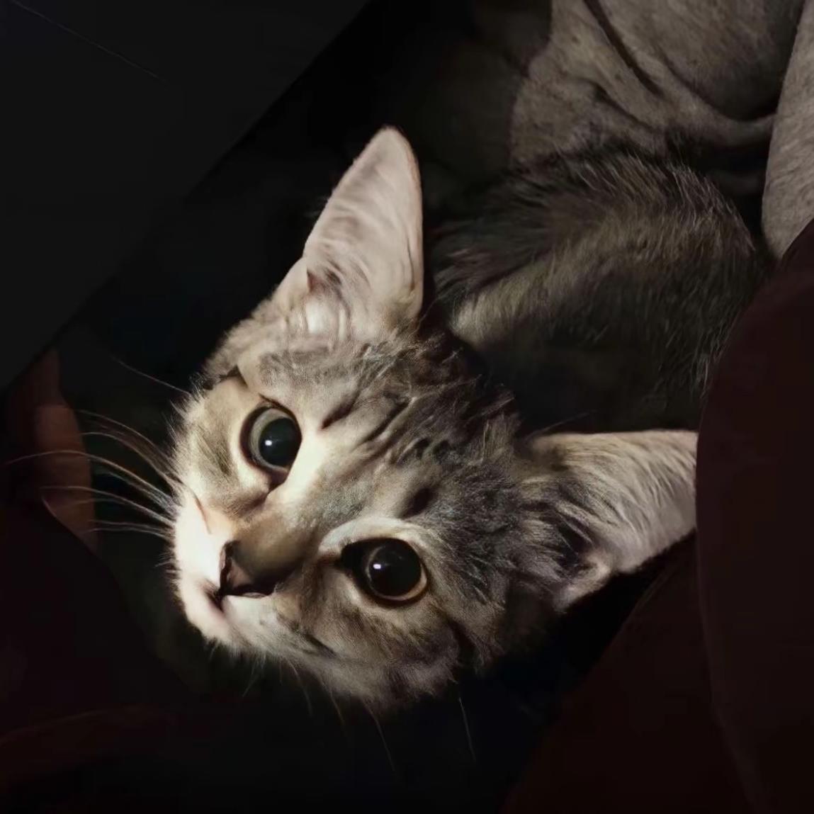 别离开我（翻自 胡俊杰）