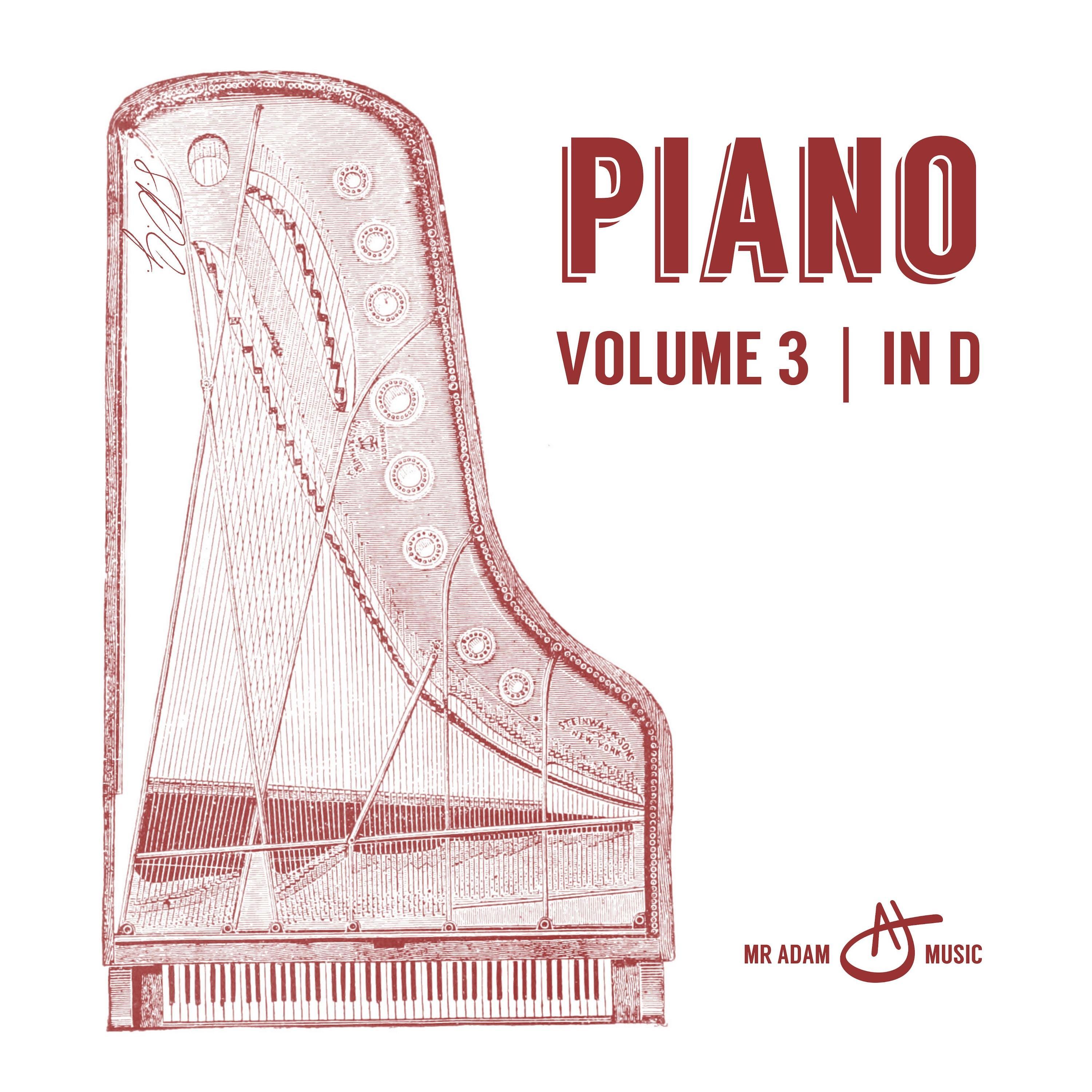 Piano, Vol. 3 in D | 3rd Movement