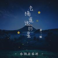 去摘遥远的星