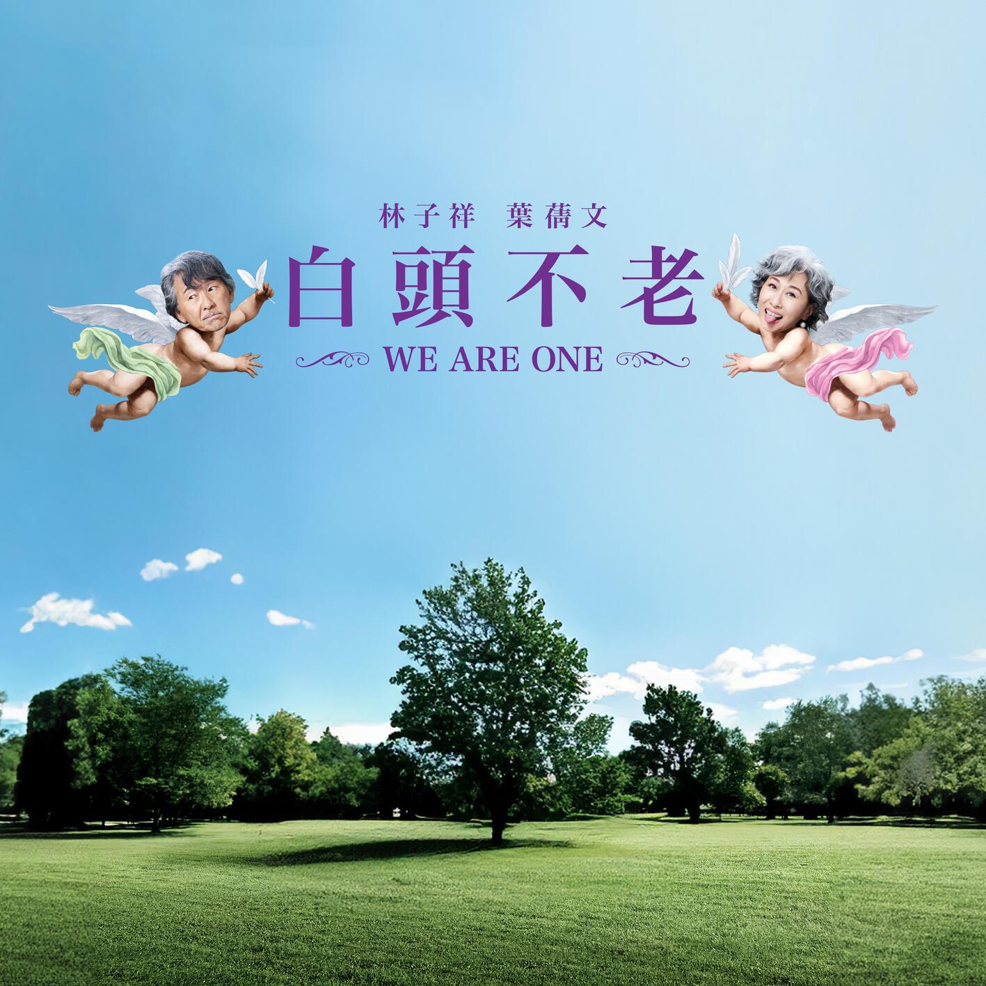 叶蒨文-《白头不老》