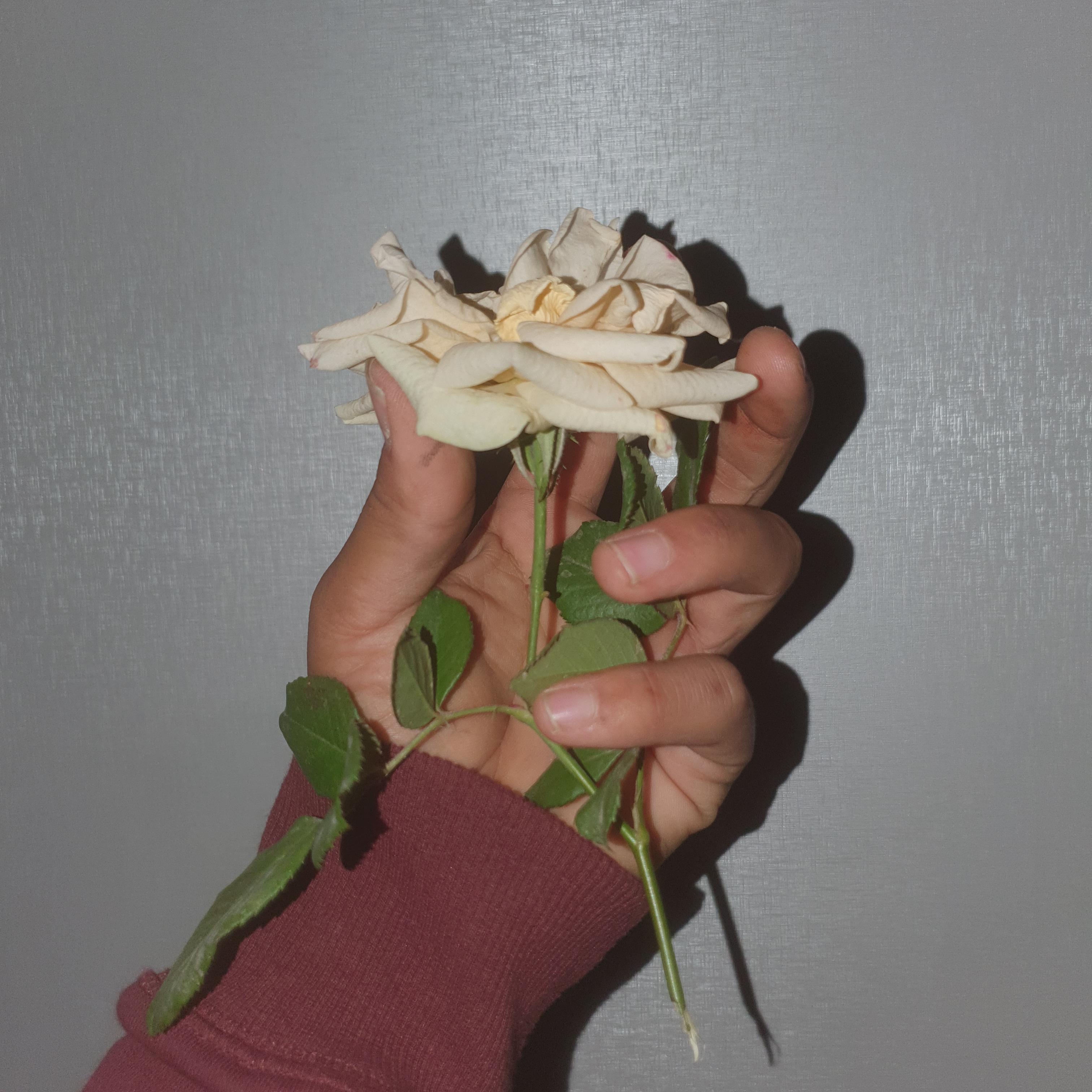 爱人错过 抖音完整版