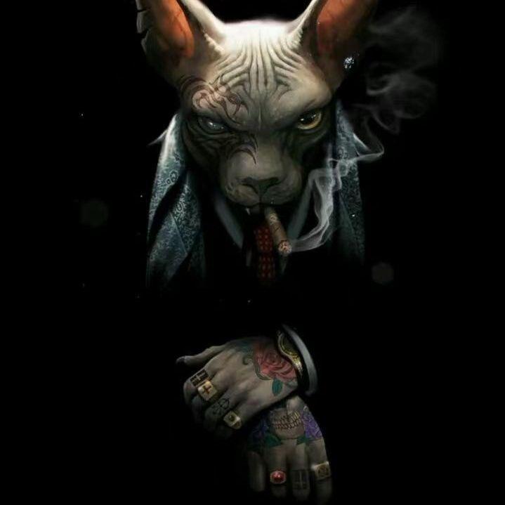 Yang y(prod.by MEGA)