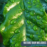 Nature Rain Melodies - Love and Rainfall