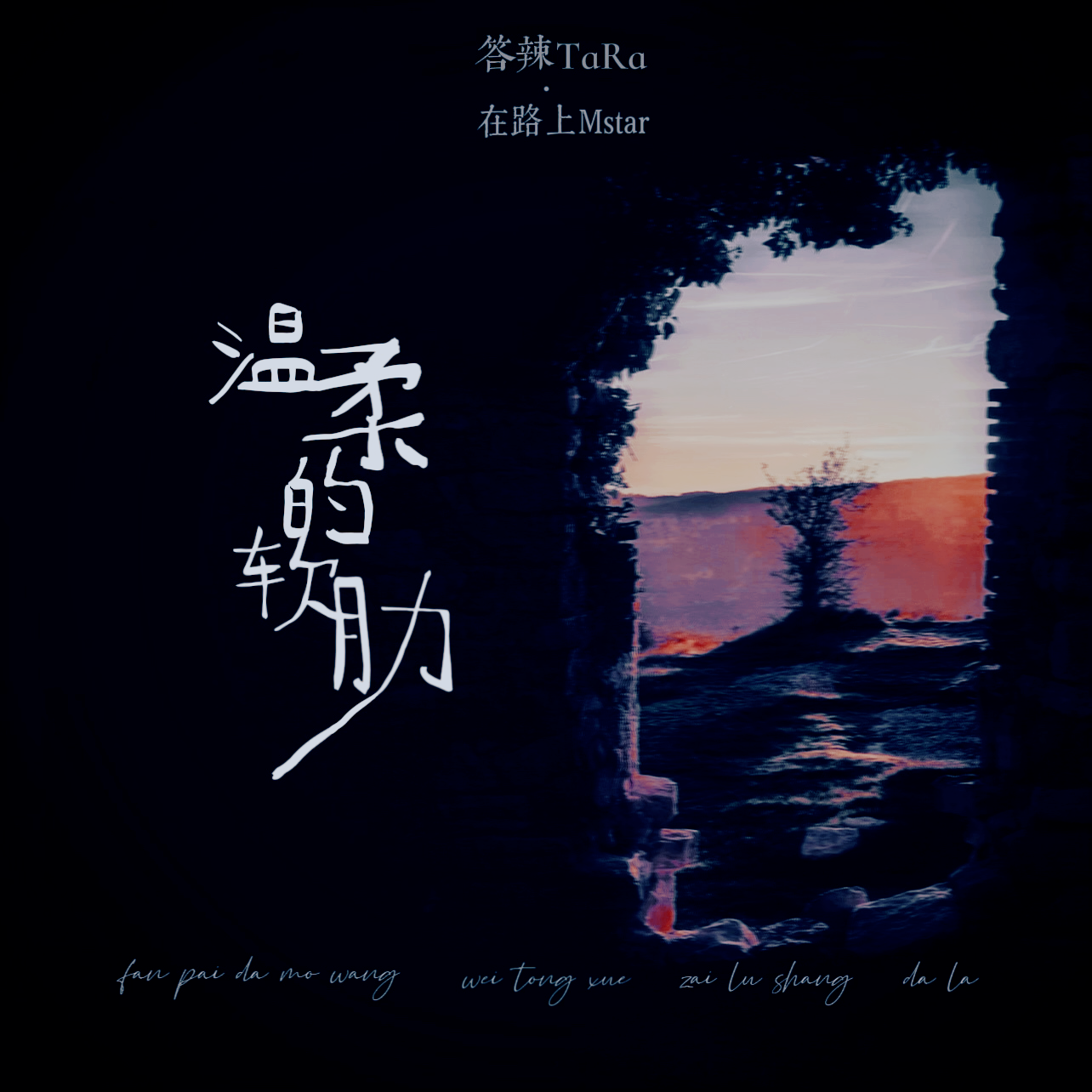 温柔的软肋 伴奏封面