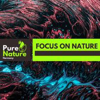 Focus on Nature