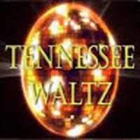 Tennessee Waltz - Country Bluegrass Disco