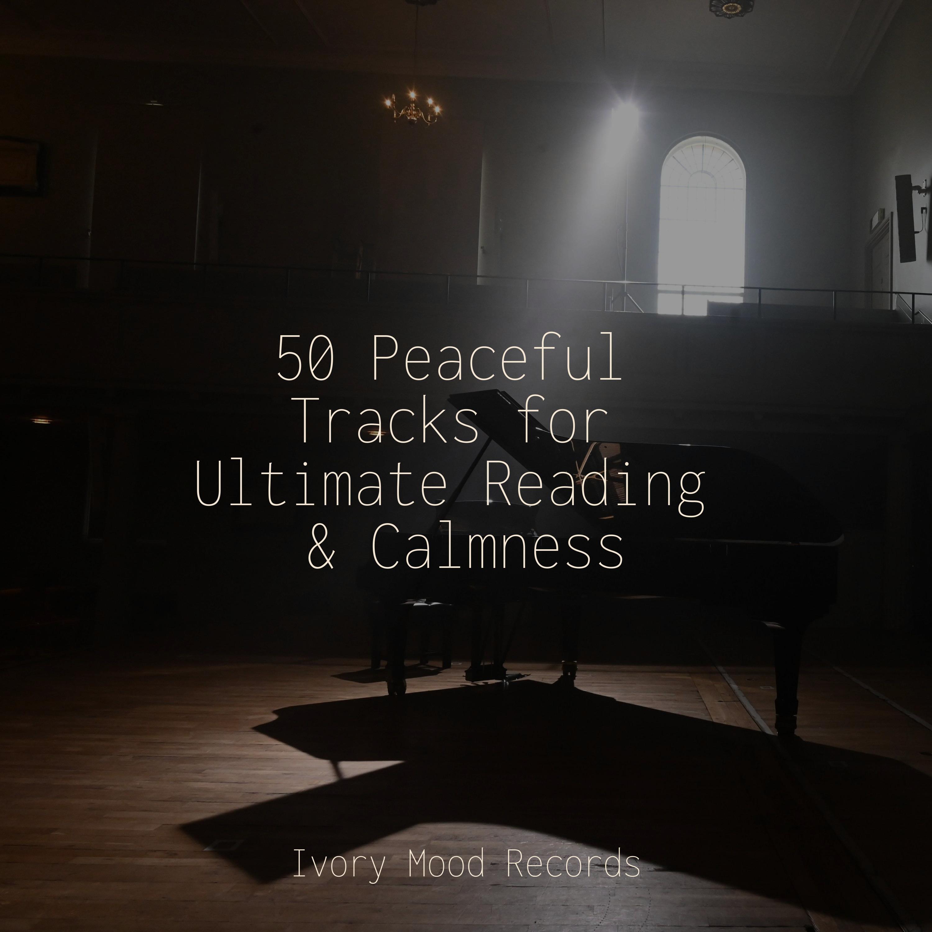 Unleash Your Musical Mojo With These Craigslist Space Coast Musicians - ofv8e3n