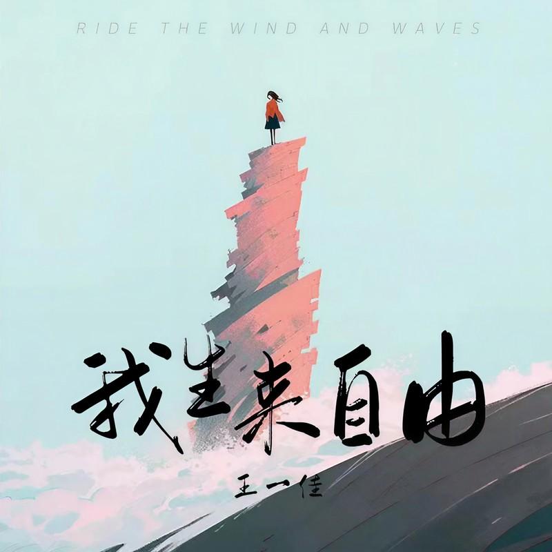 我生来自由 (DJ版伴奏)封面