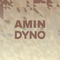 Amin Dyno