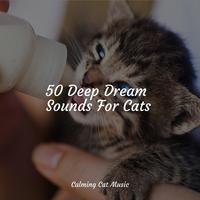 50 Deep Dream Sounds For Cats