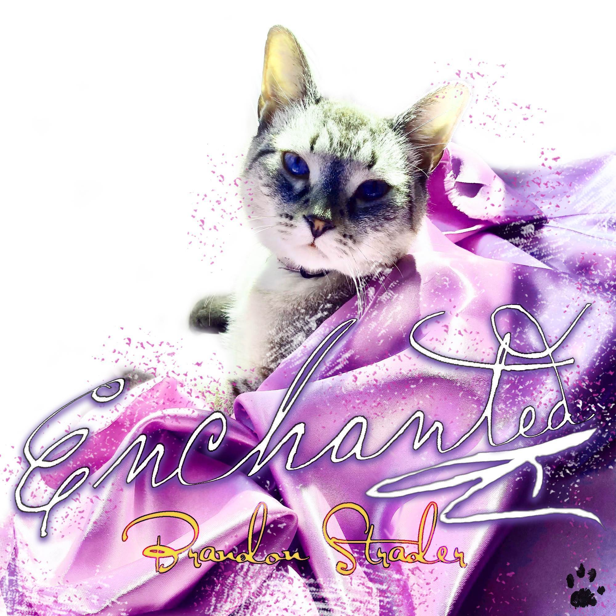 Enchanted (Cover)_Brandon Strader_Enchanted (Cover) | 在线播放_Enchanted (Cover)歌词_Enchanted (Cover)下载 | 网易云音乐