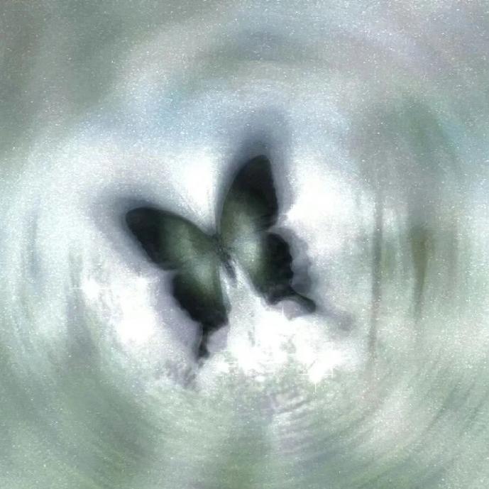 不枉（Cover 汪小敏）