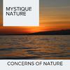 Divine Stream Nature Music - Progressive Fire Sound