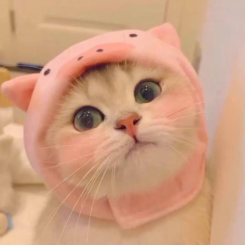 听不懂但是有节奏