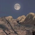 白月光与朱砂痣 (热搜女声混剪版)封面