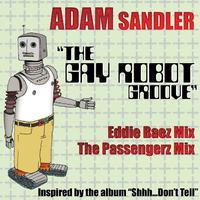 The Gay Robot Groove (DMD 2-Track Single)