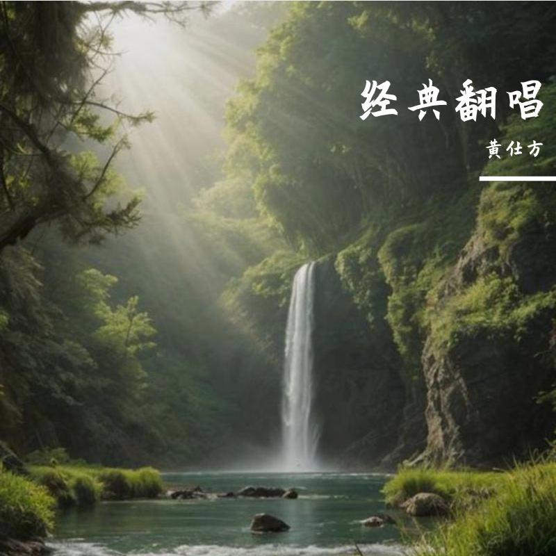 需要人陪 (烟嗓版)封面
